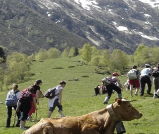 Caminata con guía en los Pirineos 